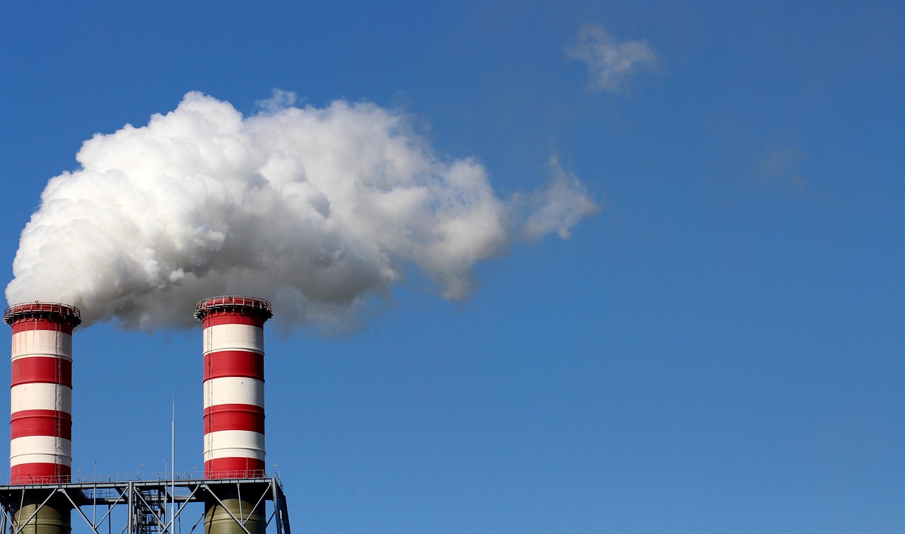 Wholesale e-liquid in coconut flavor ready for B2B dispatch